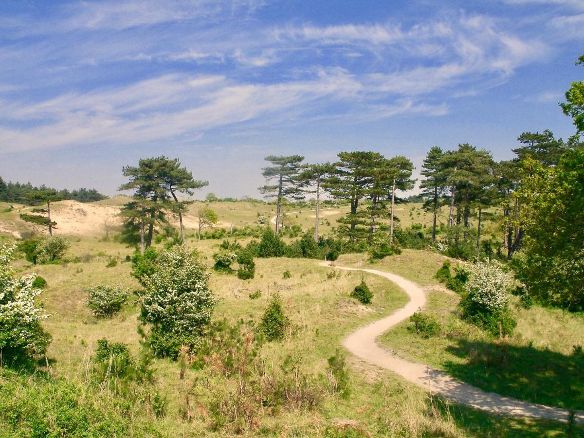 Bed & Breakfast Tegenover De Molen Haarlem Ngoại thất bức ảnh