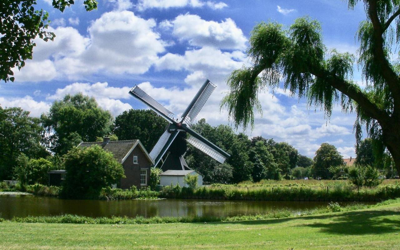 Bed & Breakfast Tegenover De Molen Haarlem Ngoại thất bức ảnh